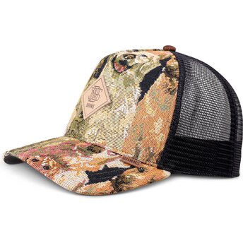 Kepsar böjd flerfärgad snapback HFT Crasy Sofa Dogs av Djinns